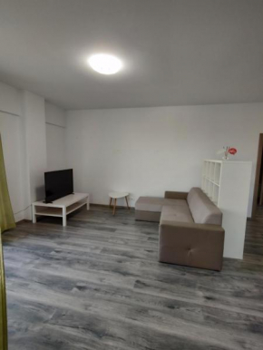 Cozy 2 rooms apartament with 2 bathroom in Pipera